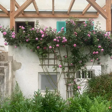 Kleine Am Wunderschönen Ammersee Apartment