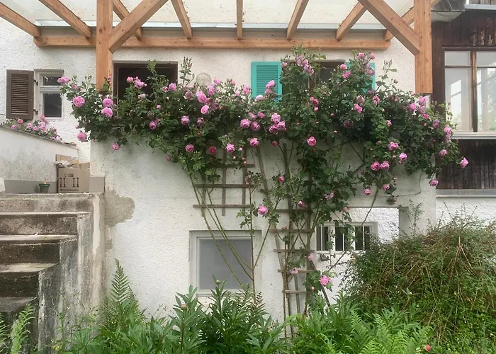 Kleine Am Wunderschoenen Ammersee Daire